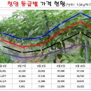 저단9 이미지