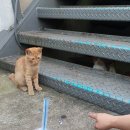 국제모터스 티스토리