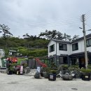 관리도캠핑장 이미지