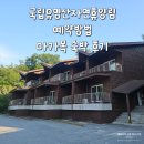 국립유명산자연휴양림 제1휴양관 예약 방법, 마가목 숙박후기, 계곡 정보