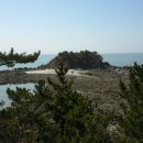 솔향기길1코스(당봉) 이미지