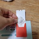 어린이 원예 체험단 | 집에서 하는 체험놀이- 텃밭놀이터(에이앤엠즈)