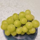 샤인 PC방 이미지