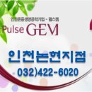 펄스젬 이미지