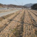 윗자모리 이미지