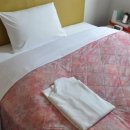 신(Shin)세탁 이미지