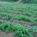 안동슈퍼 이미지