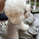 유성가든식당 이미지