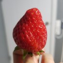 아트앤스테이 이미지