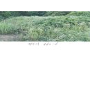 백운면 2040 이미지