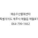 제주수산물회센타 이미지