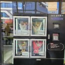 벨로데이 | 원주 무실동 꽃집 추천, 벨로데이 방문 후기