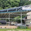 신기송어장횟집 이미지