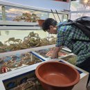 안전횟집 이미지