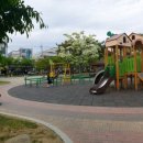 신암어린이 놀이터 이미지