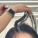 몽 노래연습장 | 대구 동성로 미용실 두피케어 :: 펠리체헤어