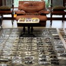 레알옵티컬 이미지