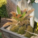 1069 | 시방 (1069) 면접 후기