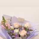 버들초등학교 이미지