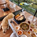 알프스 | 양주 계곡 맛집 마당바위 | 역대급 참나무 숯불삼겹살 | 애견동반 대형견가능
