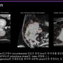 24시 코끼리동물의료센터 이미지