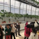 고아초등학교 병설유치원 이미지