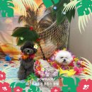 바우라움 메인캠퍼스 이미지