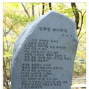 충남 보령의 ‘허파’ 성주산자연휴양림...단풍이 예뻐요^^ 이미지