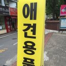 베스애견 이미지