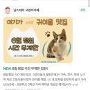 냥스테이 | 첨단 냥스테이 고양이카페 후기