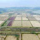 신덕개발 이미지