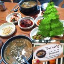 소나무백그릇추어탕 | 오늘 점심 뭐 먹지?) 보양식으로 좋은 기장 철마맛집 소나무백그릇추어탕 내돈내먹후기
