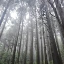 제주팡스테이 이미지