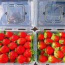 팔금농장 이미지