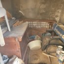 하대동155 | 진주시 빈집정리 해주는 생활폐기물 치우는 업체