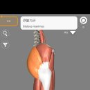 바디앤짐 신월점 이미지