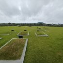 신도리-8 이미지