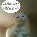 타이밍 이미지