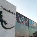 에스메디 이미지