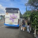 홍반장더투어제주