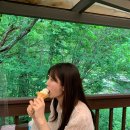 코지목장 이미지