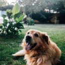 유동물병원 이미지