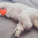 삼성맑은비뇨기과의원 이미지