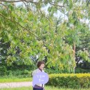 낙동강체육공원 인라인스케이트장+게이트볼장 이미지