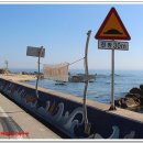 거일1리어촌체험휴양마을 이미지