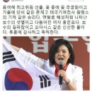혜성의원 이미지