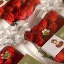 해담농장 이미지