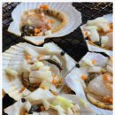 복돌이애견 이미지