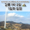 대관령자연휴양림 | [강릉 여행] 1박2일 일정 1일차 코스 ⛰️ 안반데기 / 강릉 중앙 시장 / 대관령 자연휴양림 후기