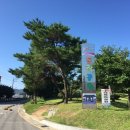 낙동강체육공원 족구장 티스토리